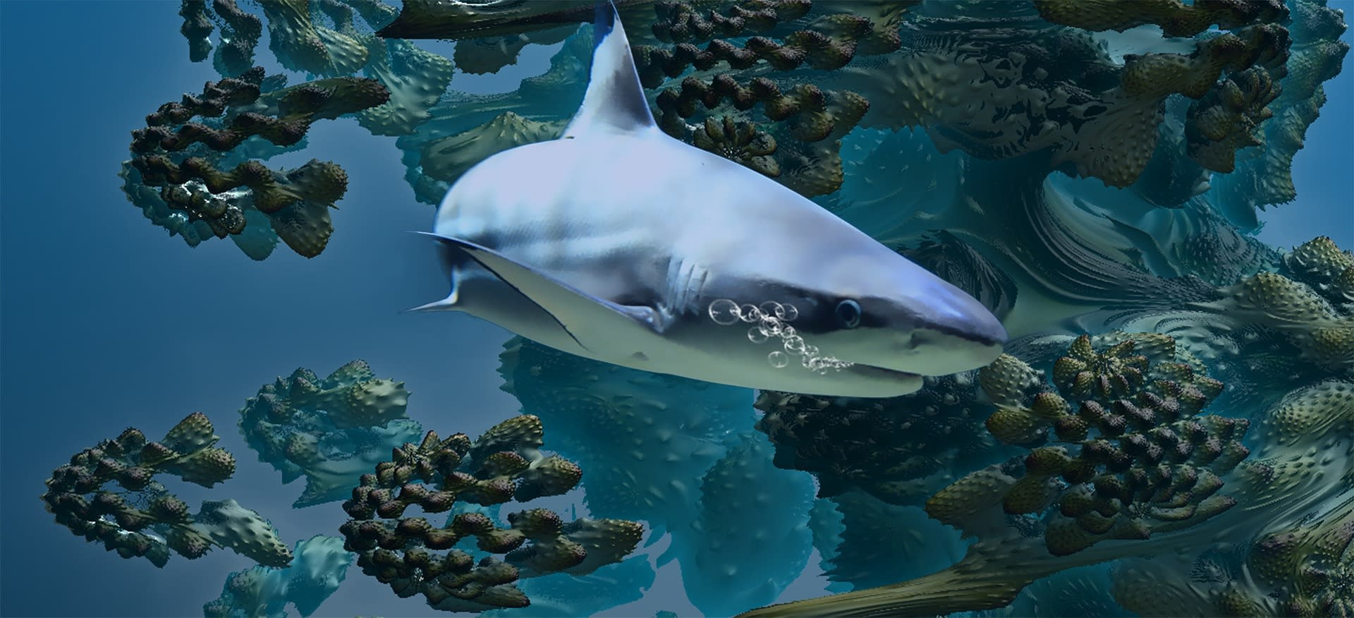 MFS - Fish 2.jpg